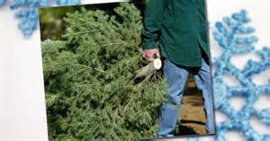 christmas tree disposal.jpg